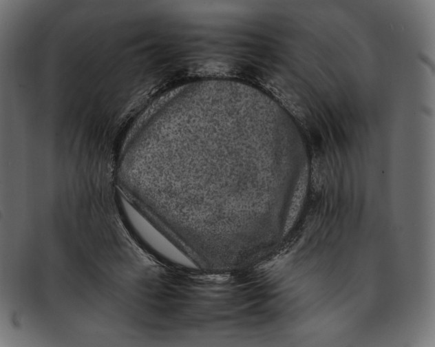 X0000092250449200710121302