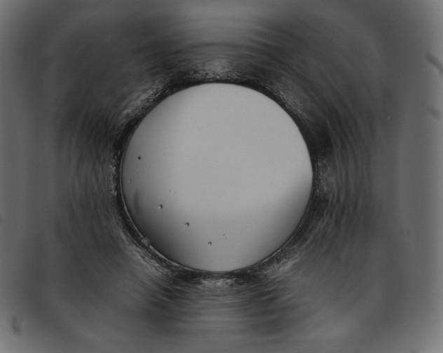 X0000092250450200710121302