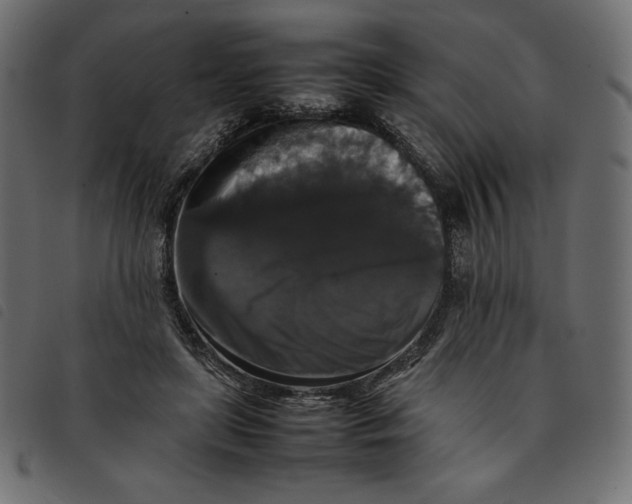 X0000092250451200710121302