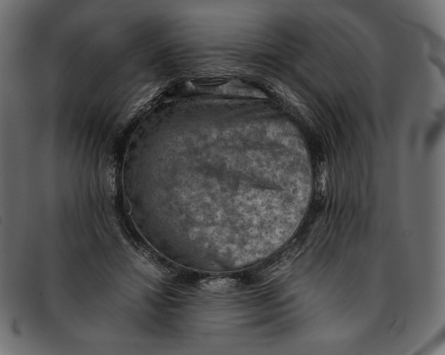 X0000092250452200710121302