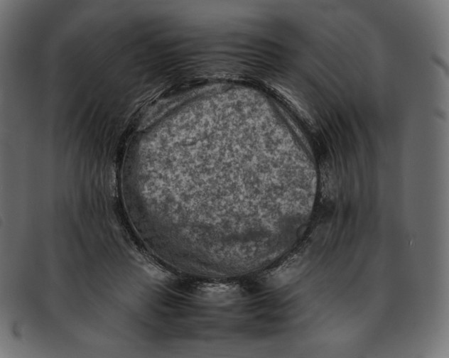 X0000092250453200710121302