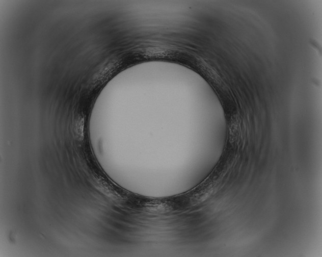 X0000092250454200710121302