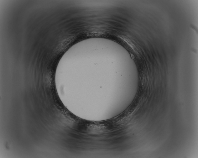 X0000092250455200710121302