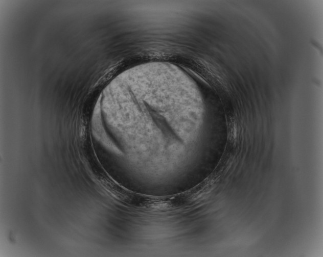 X0000092250456200710121302