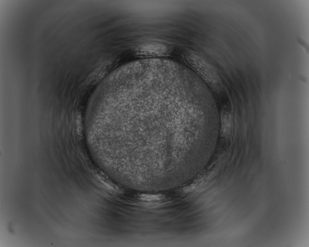 X0000092250457200710121302
