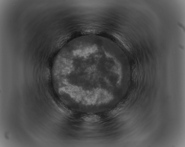 X0000092250459200710121303