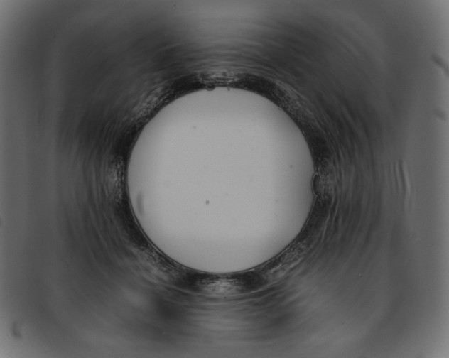 X0000092250460200710121303