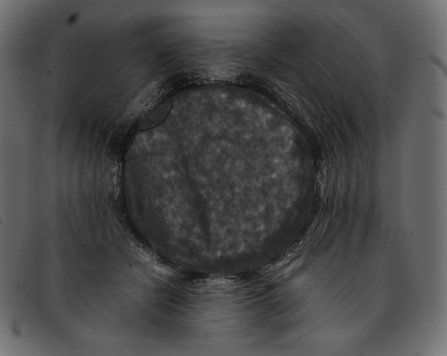 X0000092250462200710121303