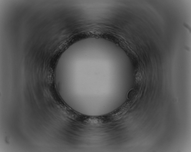 X0000092250464200710121303