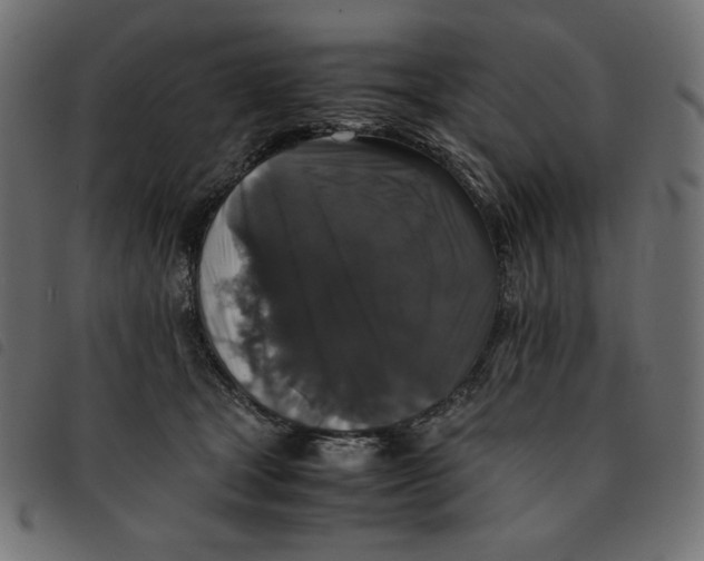 X0000092250465200710121303
