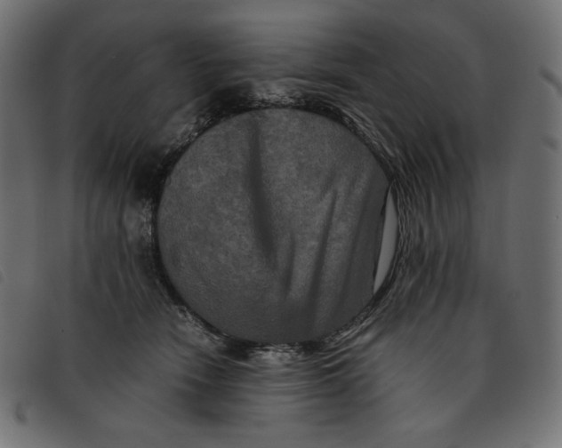 X0000092250466200710121303