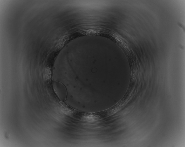 X0000092250467200710121303