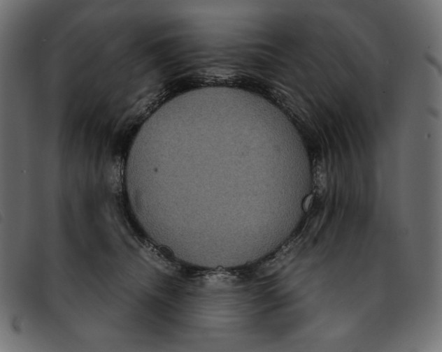 X0000092250468200710121303
