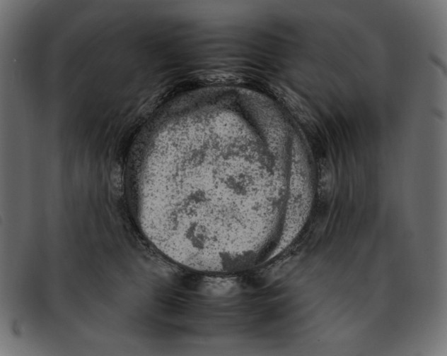 X0000092250469200710121303