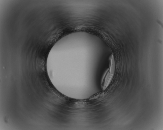 X0000092250470200710121303