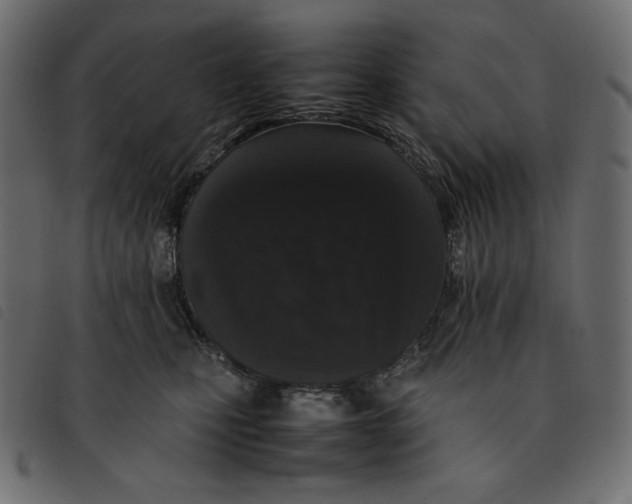 X0000092250471200710121303