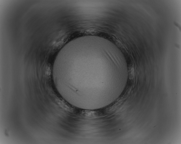 X0000092250472200710121303