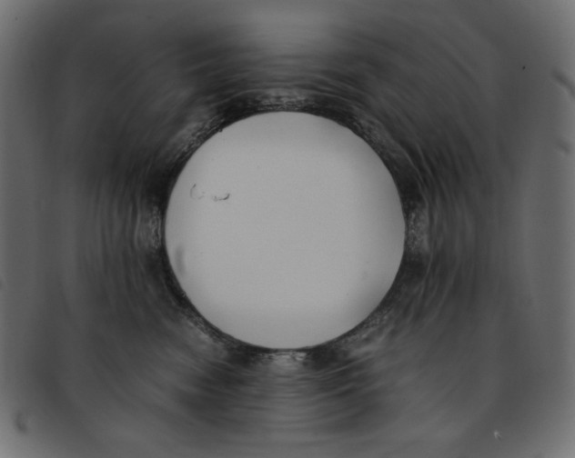 X0000092250474200710121303
