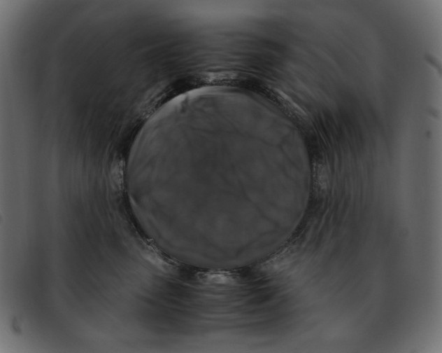 X0000092250475200710121303