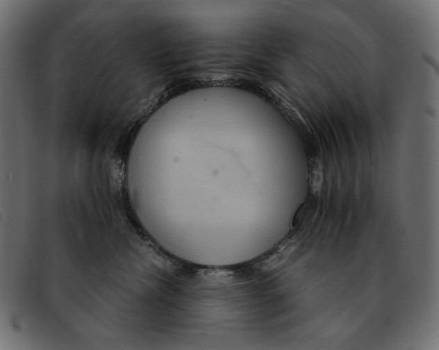 X0000092250476200710121303