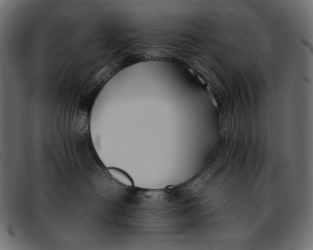 X0000092250478200710121303