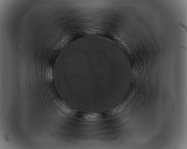 X0000092250479200710121303