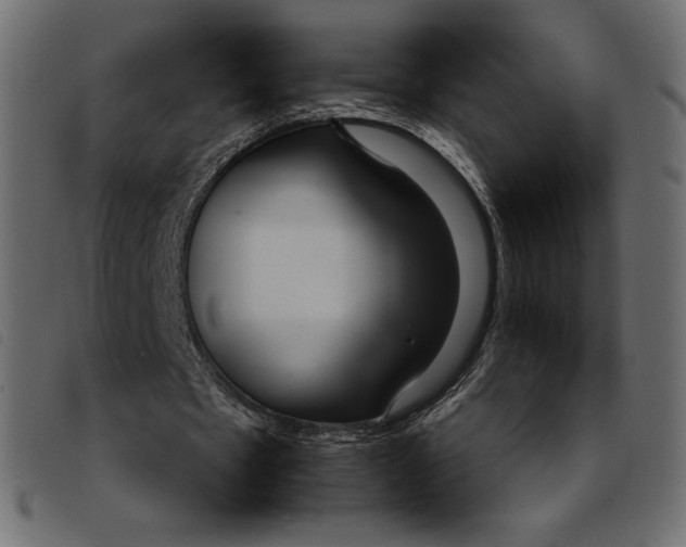 X0000092250481200710121302