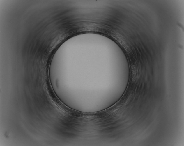 X0000092250482200710121302