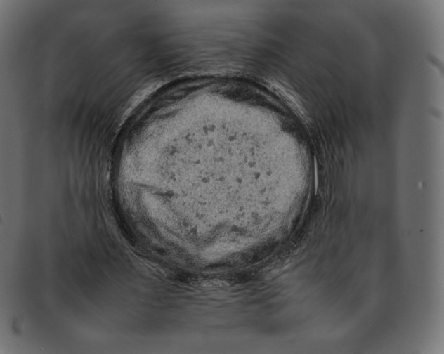 X0000092250483200710121302