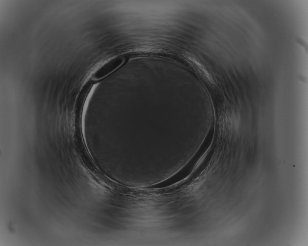 X0000092250484200710121302