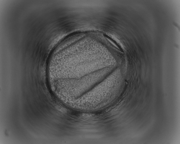 X0000092250487200710121302