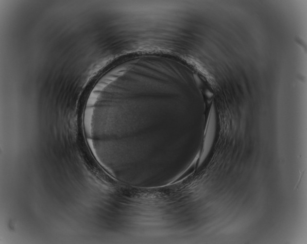 X0000092250488200710121302