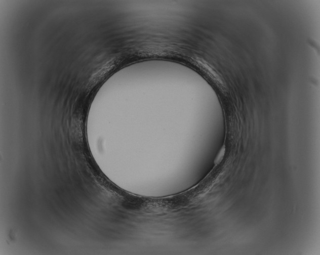 X0000092250489200710121302