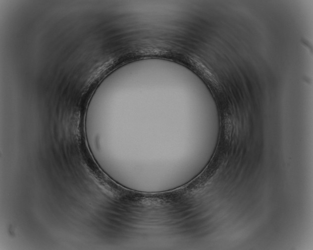 X0000092250490200710121302
