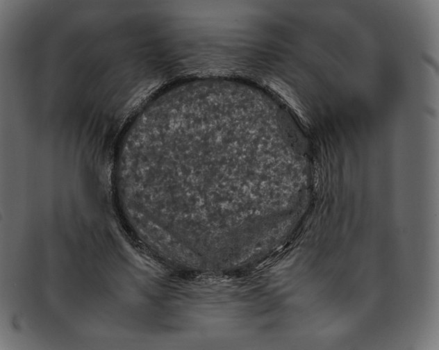 X0000092250491200710121302