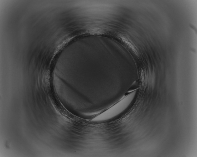 X0000092250492200710121302