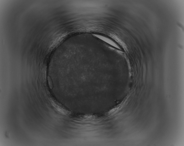 X0000092250493200710121302