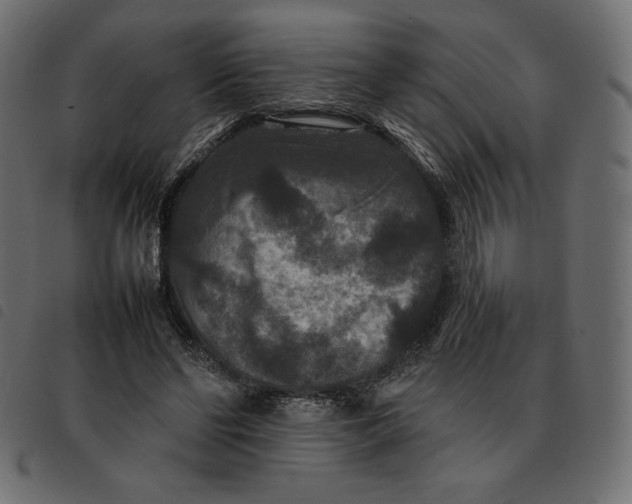X0000092250494200710121302