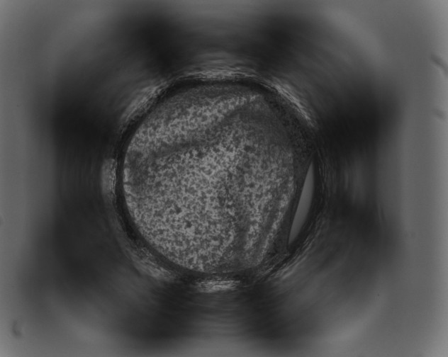 X0000092250495200710121302