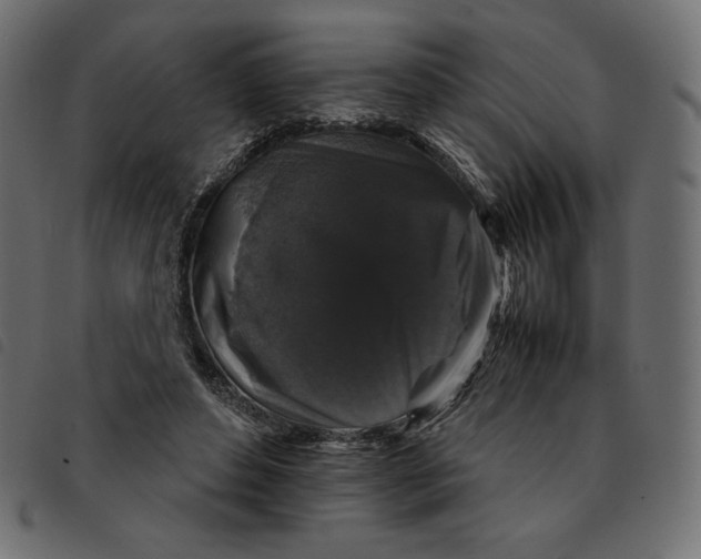 X0000092250496200710121302