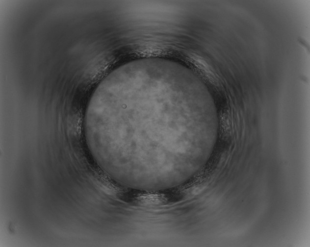 X0000092250499200710121302