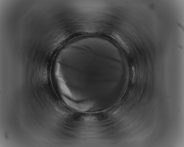 X0000092250500200710121302