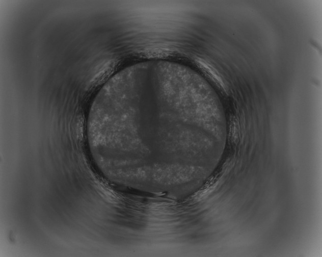 X0000092250501200710121302