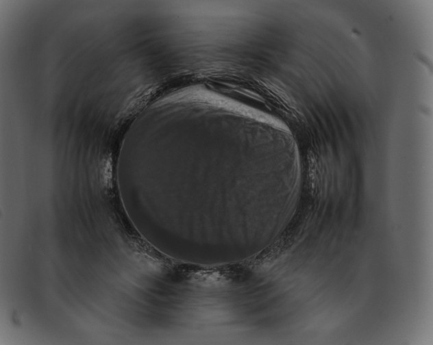 X0000092250502200710121302