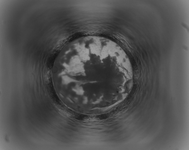 X0000092250503200710121302
