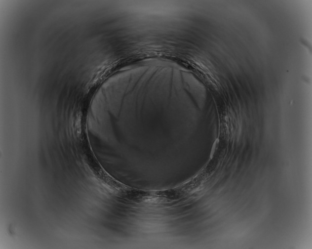 X0000092250504200710121302
