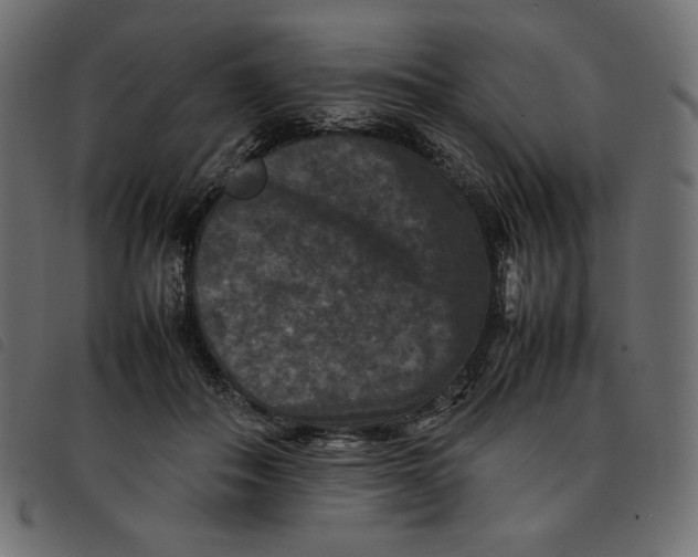 X0000092250506200710121302