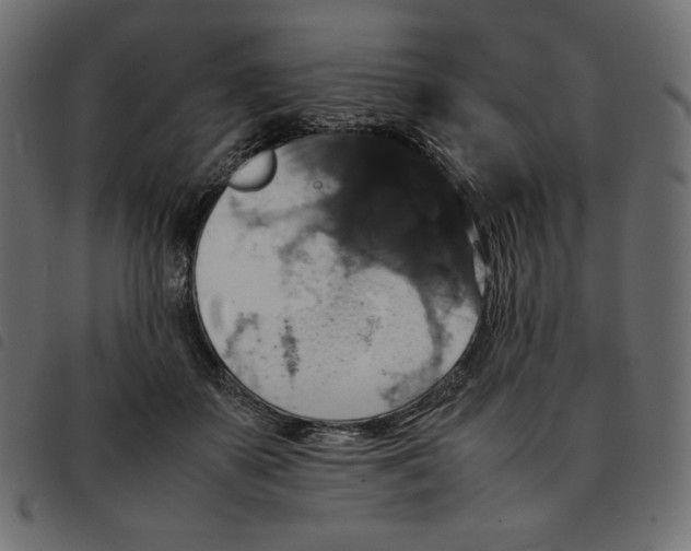 X0000092250507200710121302