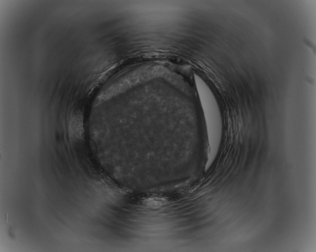 X0000092250508200710121302