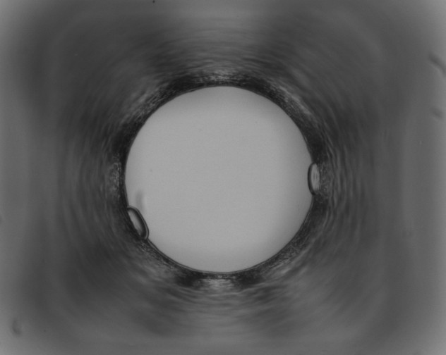 X0000092250509200710121302